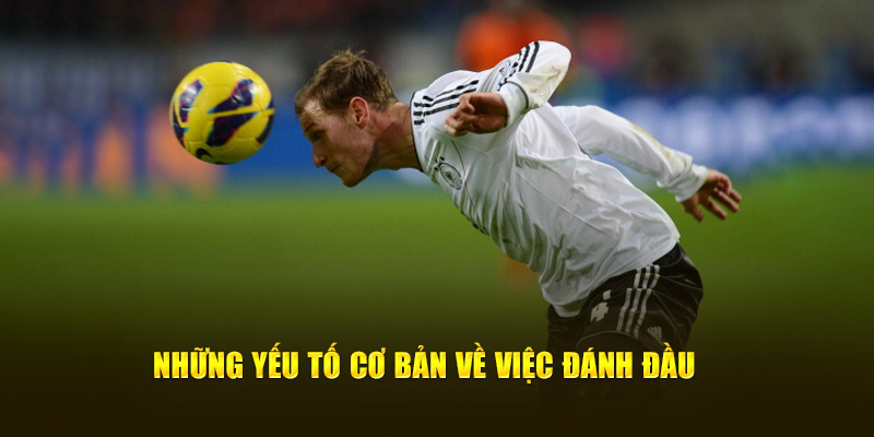 Những yếu tố cơ bản về việc đánh đầu