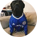 CakhiaTV – Trực tiếp bóng đá Cúp C1 2026 đỉnh cao nghẹt thở 23 Khán giả Chân Đen Sì