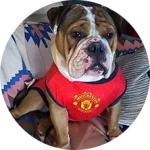 CakhiaTV – Trực tiếp bóng đá Cúp C1 2026 đỉnh cao nghẹt thở 21 Khán giả Đàn Thị Mân Nu