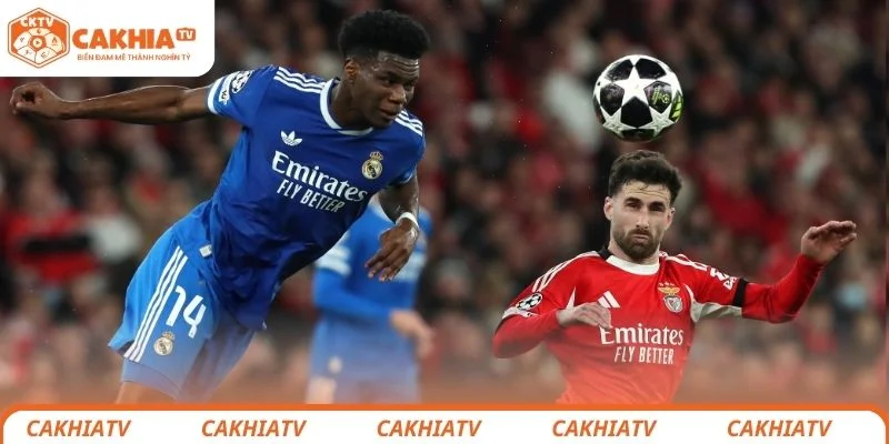 Real Madrid vs Benfica - Suất Vé Vòng Trong Sẽ Thuộc Về Ai? 2 Nhận định chi tiết tình hình lực lượng 2 đội bóng Real Madrid vs Benfica